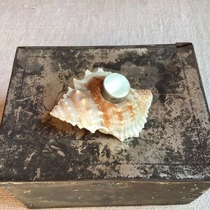 Shell Calligraphy Inkwell